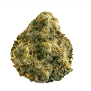 Grapefruit GG4