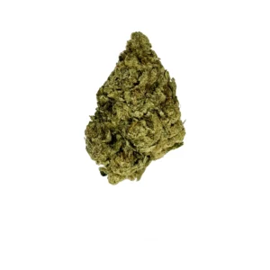 Starburst Strain: Everything You Need to Know