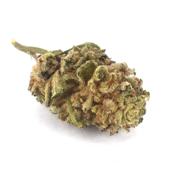 Cookie Monster (AA)