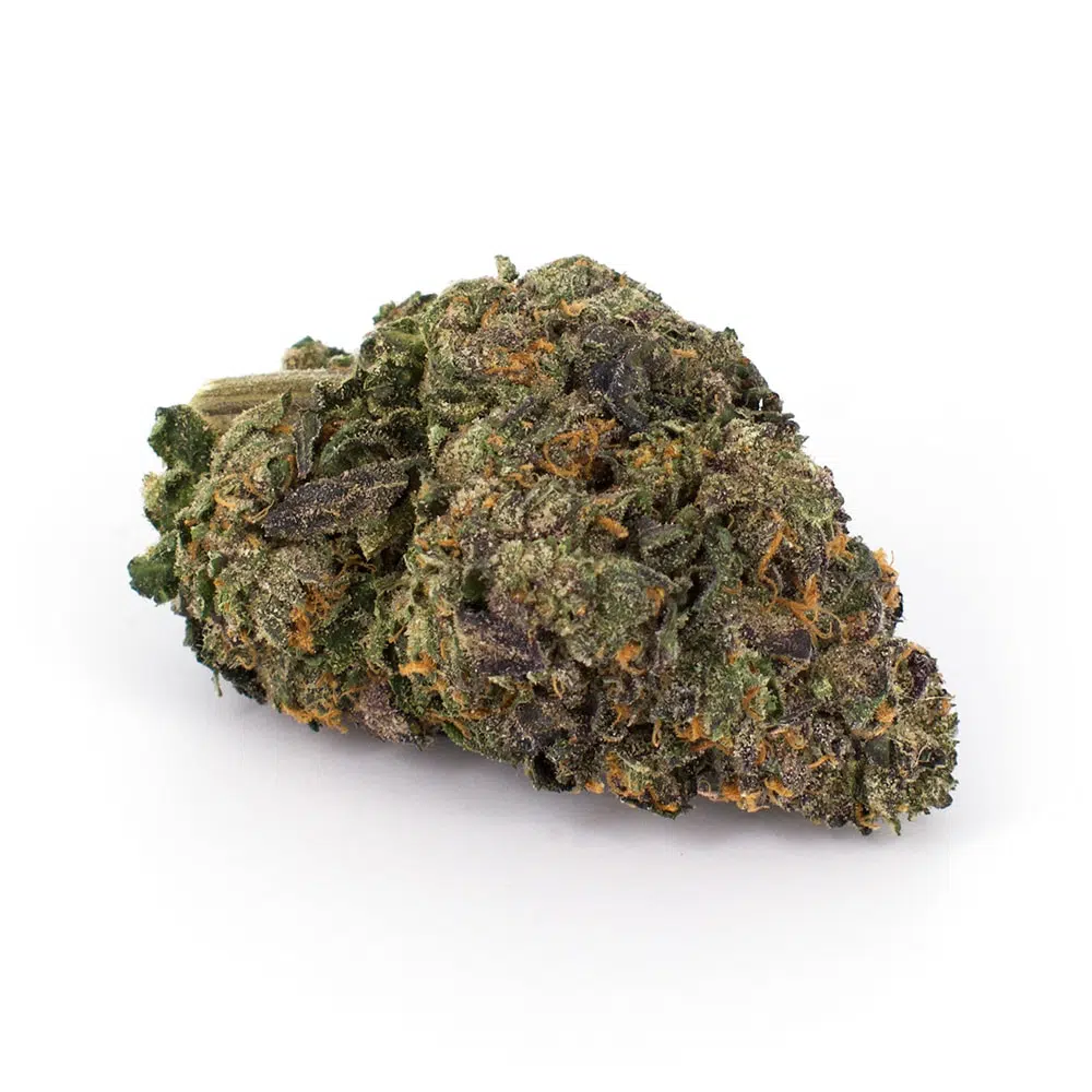 Gelato 45 (AAAA)