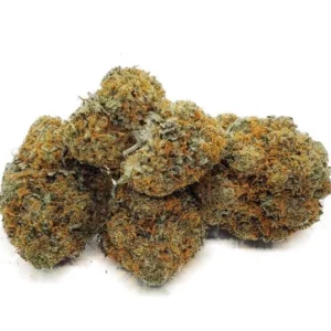 San Fernando Valley OG Kush (SFV OG)